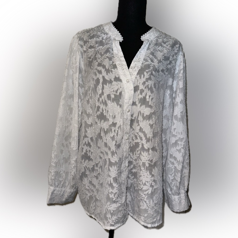 Alice Blue White Lace Button Down Top